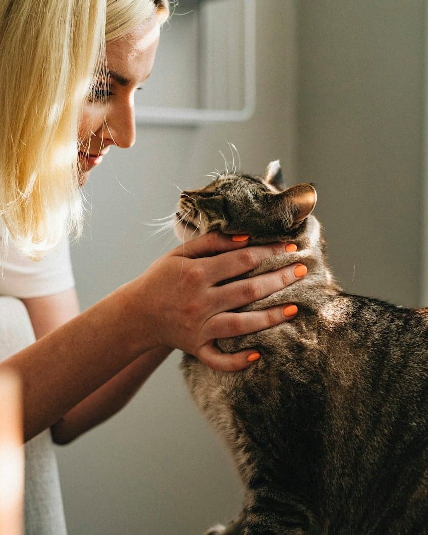 Baasje aait haar kat liefdevol bij het raam